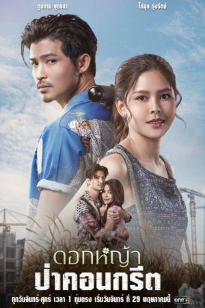 Image Hachi: A Dog's Tale