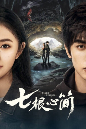 Image Hachi: A Dog's Tale